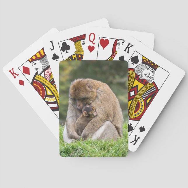 Niedliche Kleintiere | Barbary Macaque Family Spielkarten (Rückseite)