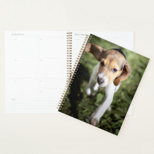 Niedliche Kleintiere Beagle Welpe Planer