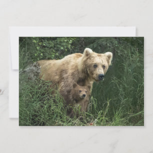 Niedliche Kleintiere   Bear Mama Bear & Ihre Cubs Dankeskarte