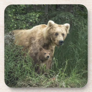 Niedliche Kleintiere Bear Mama Bear & Ihre Cubs Getränkeuntersetzer