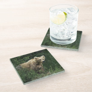 Niedliche Kleintiere   Bear Mama Bear & Ihre Cubs Glasuntersetzer