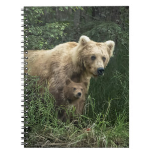 Niedliche Kleintiere Bear Mama Bear & Ihre Cubs Notizblock