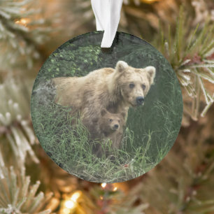 Niedliche Kleintiere   Bear Mama Bear & Ihre Cubs Ornament