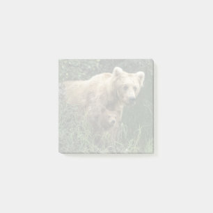 Niedliche Kleintiere Bear Mama Bear & Ihre Cubs Post-it Klebezettel