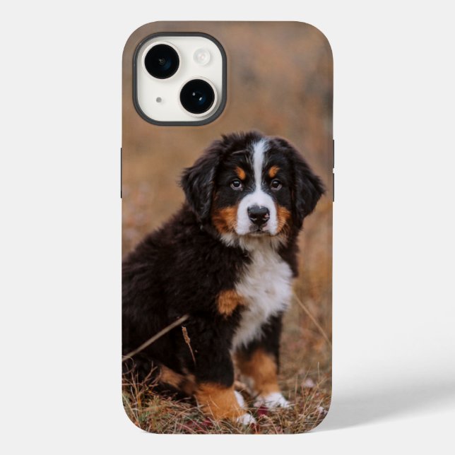Niedliche Kleintiere | Bernese Mountain Dog Case-Mate iPhone 14 Hülle (Rückseite)