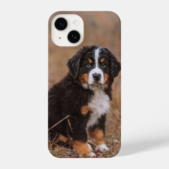 Niedliche Kleintiere | Bernese Mountain Dog iPhone 14 Hülle (Rückseite)