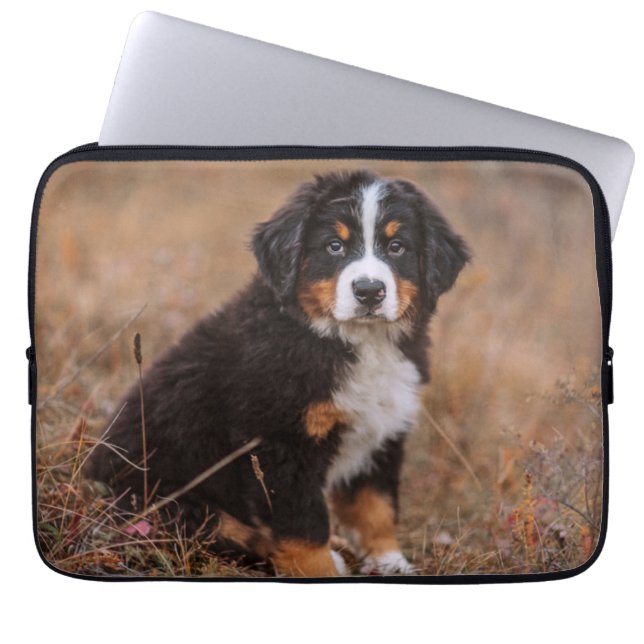 Niedliche Kleintiere | Bernese Mountain Dog Laptopschutzhülle (Vorderseite)
