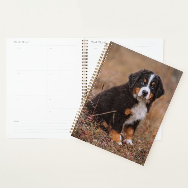 Niedliche Kleintiere | Bernese Mountain Dog Planer (Anzeige)