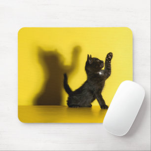 Niedliche Kleintiere   Black Cat Playing Mousepad