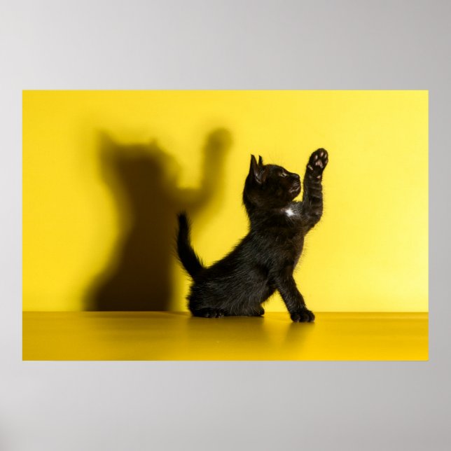 Niedliche Kleintiere | Black Cat Playing Poster (Vorne)