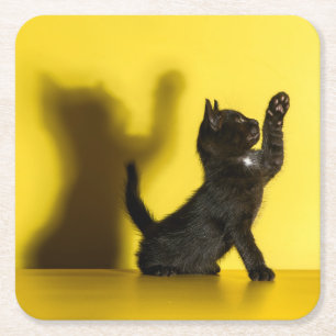 Niedliche Kleintiere Black Cat Playing Rechteckiger Pappuntersetzer