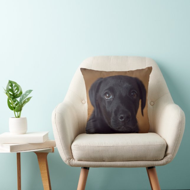 Niedliche Kleintiere | Black Labrador Puppy Kissen (Stuhl )