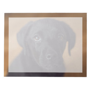 Niedliche Kleintiere   Black Labrador Puppy Notizblock