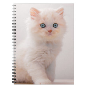 Niedliche Kleintiere   Blue Eye Kitten Notizblock