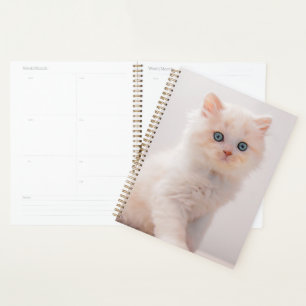 Niedliche Kleintiere   Blue Eye Kitten Planer
