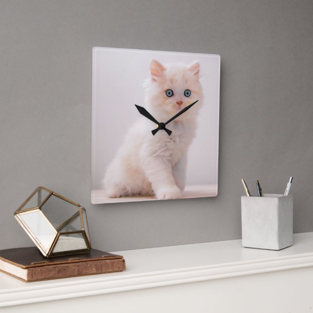 Niedliche Kleintiere | Blue Eye Kitten Quadratische Wanduhr (Büro)