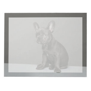 Niedliche Kleintiere   Blue French Bulldog Puppy Notizblock