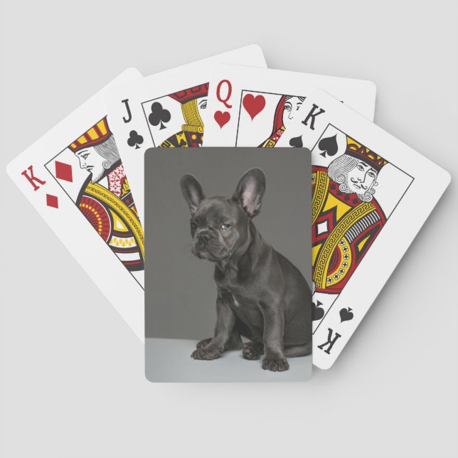 Niedliche Kleintiere | Blue French Bulldog Puppy Spielkarten (Rückseite)