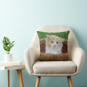 Niedliche Kleintiere Blue Mit Augen Kitten Kissen