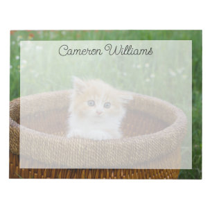Niedliche Kleintiere Blue Mit Augen Kitten Notizblock