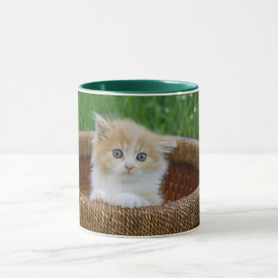 Niedliche Kleintiere Blue Mit Augen Kitten Tasse