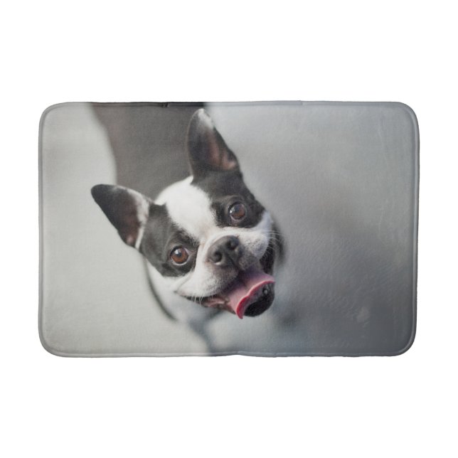 Niedliche Kleintiere | Boston Bulldog Smile Badematte (Vorderseite)