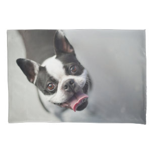 Niedliche Kleintiere Boston Bulldog Smile Kissenbezug