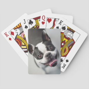 Niedliche Kleintiere Boston Bulldog Smile Spielkarten