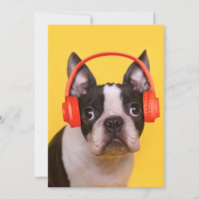 Niedliche Kleintiere | Boston Terrier Kopfhörer Dankeskarte (Vorderseite)