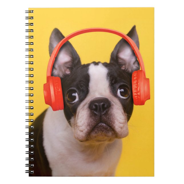 Niedliche Kleintiere | Boston Terrier Kopfhörer Notizblock (Vorderseite)