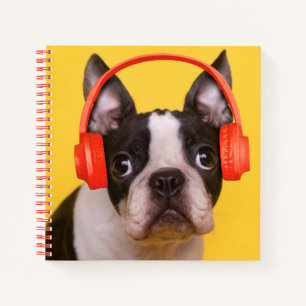 Niedliche Kleintiere   Boston Terrier Kopfhörer Notizbuch