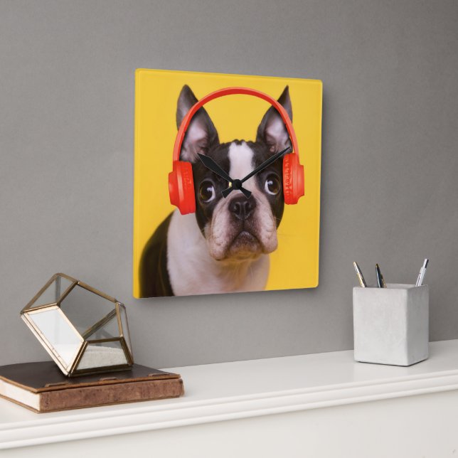 Niedliche Kleintiere | Boston Terrier Kopfhörer Quadratische Wanduhr (Büro)