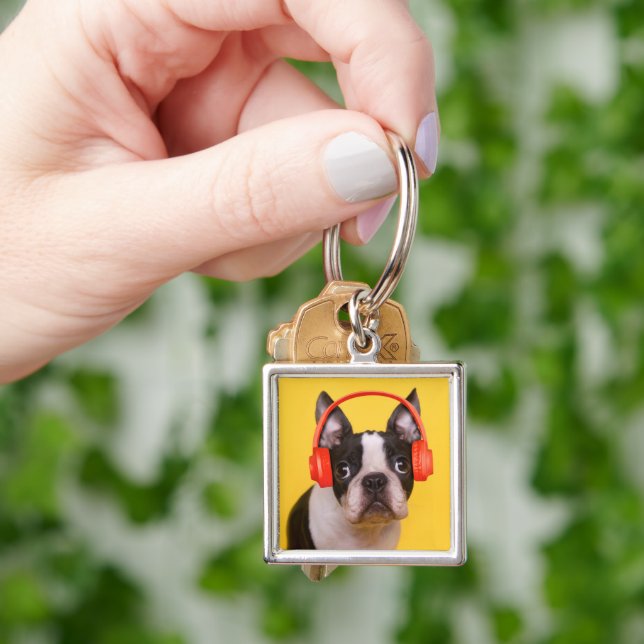 Niedliche Kleintiere | Boston Terrier Kopfhörer Schlüsselanhänger (Hand)
