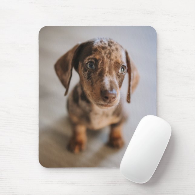 Niedliche Kleintiere | Braune Dackel Welpe Mousepad (Mit Mouse)