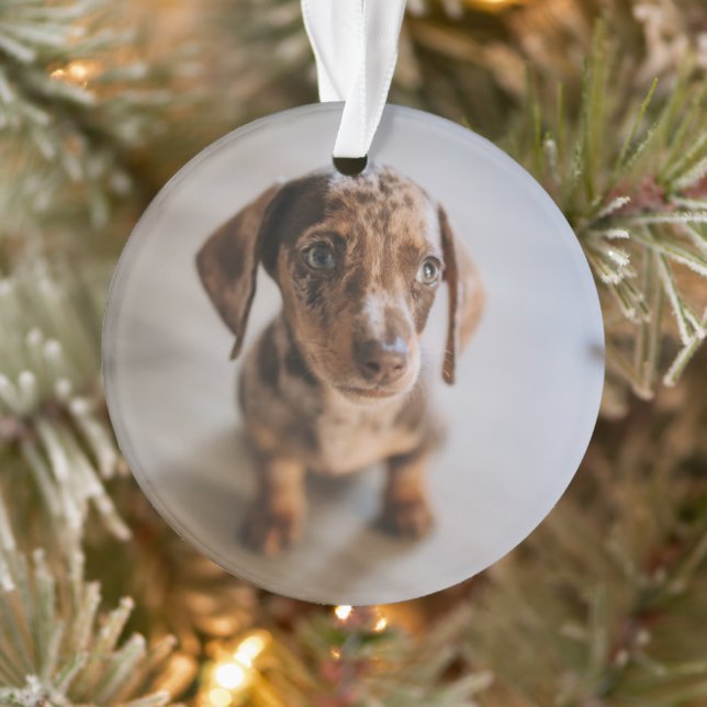 Niedliche Kleintiere | Braune Dackel Welpe Ornament (Baum)