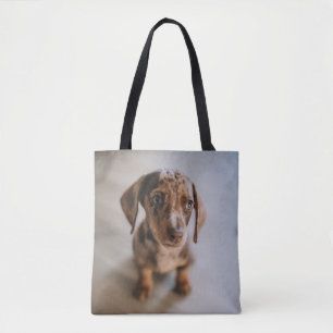 Niedliche Kleintiere   Braune Dackel Welpe Tasche