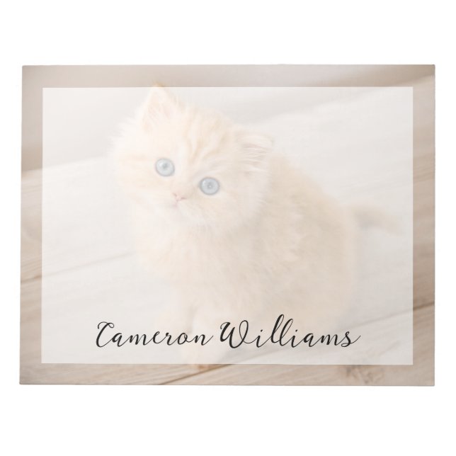 Niedliche Kleintiere | British Longhair Kitten Notizblock (Vorderseite)