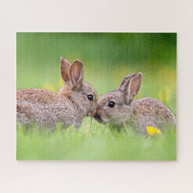 Niedliche Kleintiere | Bunny Kiss (Horizontal)