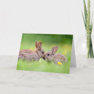 Niedliche Kleintiere Bunny Kiss Karte