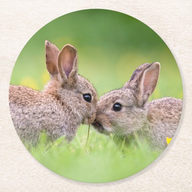 Niedliche Kleintiere | Bunny Kiss Runder Pappuntersetzer (Vorderseite)