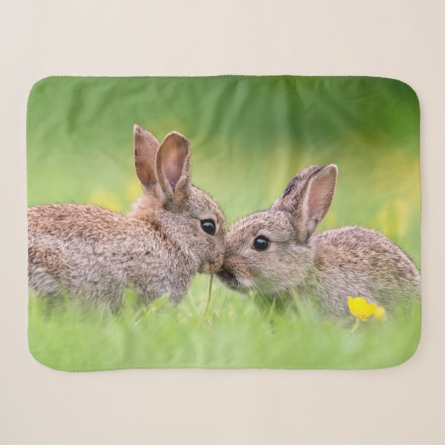 Niedliche Kleintiere | Bunny Kiss Sherpadecke (Vorderseite (Horizontal))
