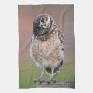 Niedliche Kleintiere Burning Owl Owlet Geschirrtuch