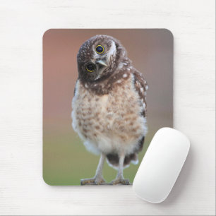 Niedliche Kleintiere Burning Owl Owlet Mousepad