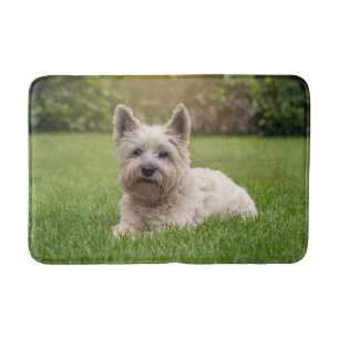 Niedliche Kleintiere Cairn Terrier Dog Badematte