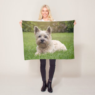 Niedliche Kleintiere Cairn Terrier Dog Fleecedecke