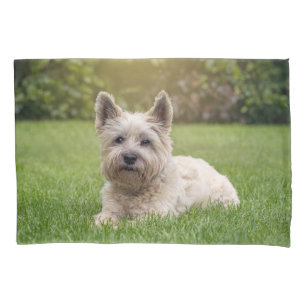 Niedliche Kleintiere   Cairn Terrier Dog Kissenbezug