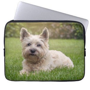 Niedliche Kleintiere   Cairn Terrier Dog Laptopschutzhülle