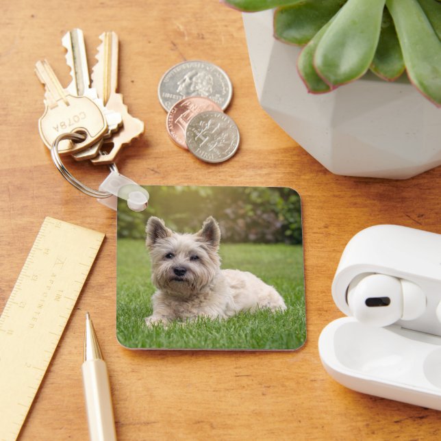 Niedliche Kleintiere | Cairn Terrier Dog Schlüsselanhänger (Schreibtisch)