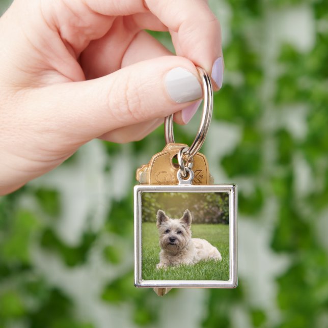Niedliche Kleintiere | Cairn Terrier Dog Schlüsselanhänger (Hand)