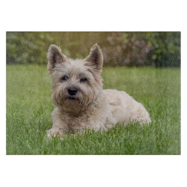 Niedliche Kleintiere | Cairn Terrier Dog Schneidebrett (Vorderseite)